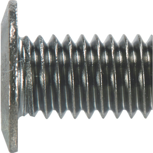 ＴＲＵＳＣＯ　ヘックスローブ超極低頭ねじ　黒ニッケル　Ｍ４×１０　４０本入　B181-0410　1 PK