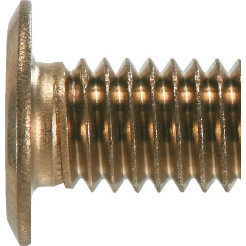 TRUSCO Hex Lobe Ultra Low Head Screw Stainless Steel Light Bronze M5 x 20 10 Pieces B187-0520 1 PK