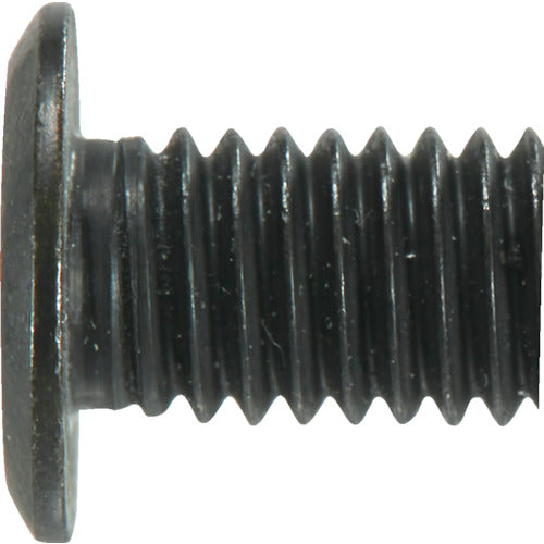 TRUSCO Hex Lobe Ultra Low Head Screw Stainless Steel Black Dye M2 x 8 10 Pieces B185-0208 1 PK