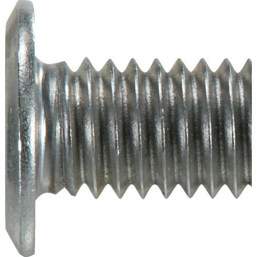 TRUSCO Hex Lobe Ultra Low Head Screw Aluminum M6 x 12 10pcs B184-0612 1PK