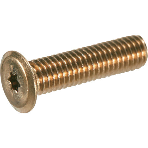 TRUSCO Hex Lobe Ultra Low Head Screw Stainless Steel Light Bronze M5 x 16 10 Pieces B187-0516 1 PK
