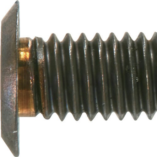 ＴＲＵＳＣＯ　ヘックスローブ超極低頭ねじ　ステンレス　ブロンズ　Ｍ２×４　１０本入　B186-0204　1 PK