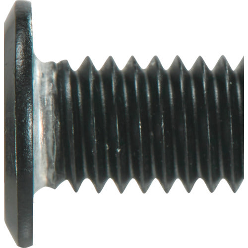 ＴＲＵＳＣＯ　ヘックスローブ超極低頭ねじ　アルミ　アルマイト黒　Ｍ６×２０　４本入　B190-0620　1 PK