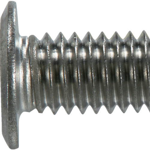 TRUSCO Hex Lobe Ultra Low Head Screw Stainless Steel M5 x 12 14 Pieces B183-0512 1 PK