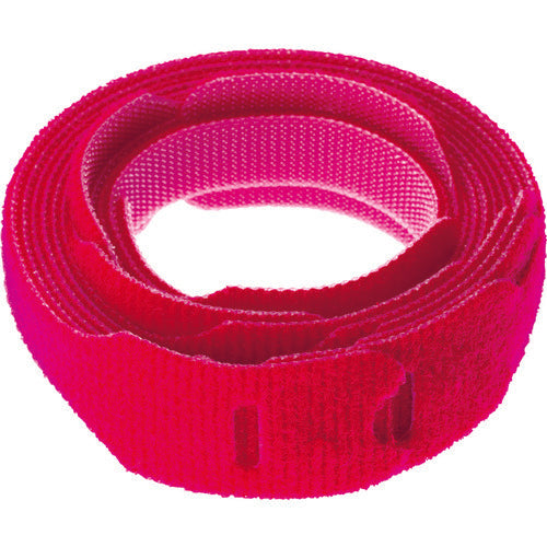 ＰＡＮＤＵＩＴ　タックタイ　スリットタイプ　赤　（１０本入）　ＨＬＴ２Ｉ−Ｘ２　HLT2I-X2　1 袋