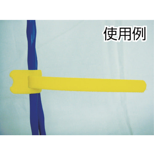 PANDUIT 택타이 슬릿 타입 빨강 (10개입) HLT3I-X2 HLT3I-X2 1봉