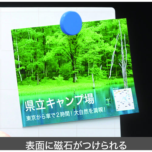 TRUSCO Adhesive Whiteboard Sheet with Dark Lines 900 x 1200 x 1.0 TWKL-90120 1 sheet