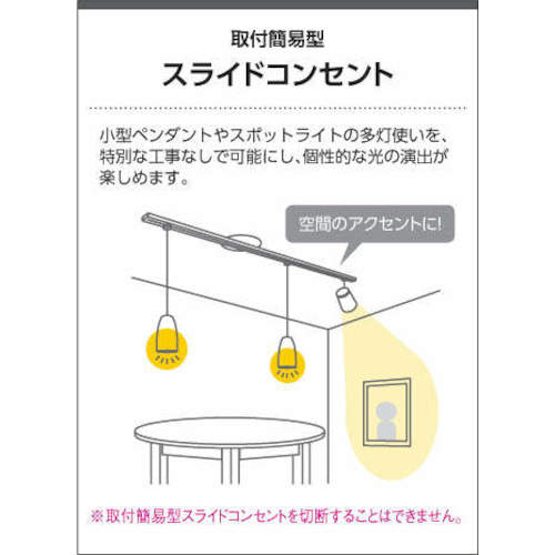 コイズミ　住宅・店舗用照明　スライドコンセント　１０００　白　AE42173E　1 台