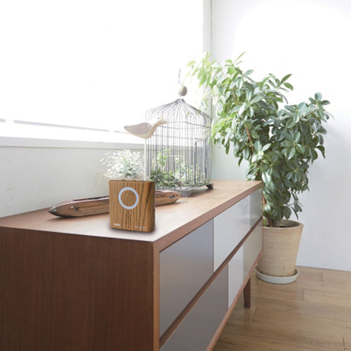 リーベックス　防水型呼び出しチャイムセット　木目　ＸＰ７１０ＡＭ　XP710AM　1 個