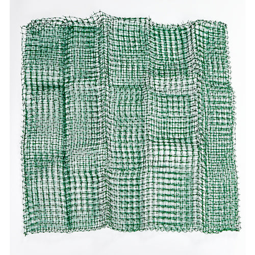 ＴＲＵＳＣＯ　なんでもネット　２Ｘ２Ｍ　２５ｍｍ角　緑　EG-22025　1 枚