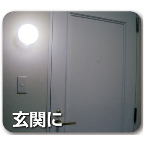 Libex Malpica SLK400 SLK400 1 piece