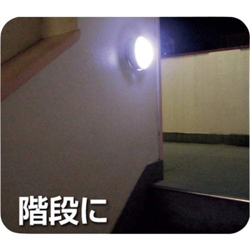 Libex Malpica SLK400 SLK400 1 piece