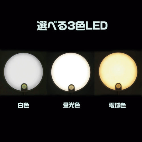 Liebex Kabepika SLK800 SLK800 1 piece