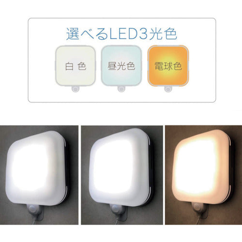 Liebex Kabepika Square SLK900 SLK900 1 piece