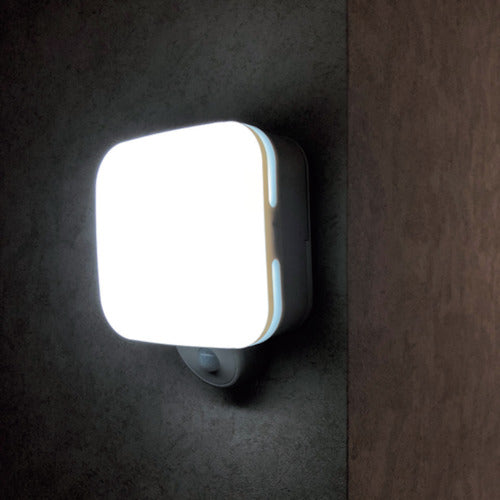 Liebex Kakupika SLK500 SLK500 1 piece