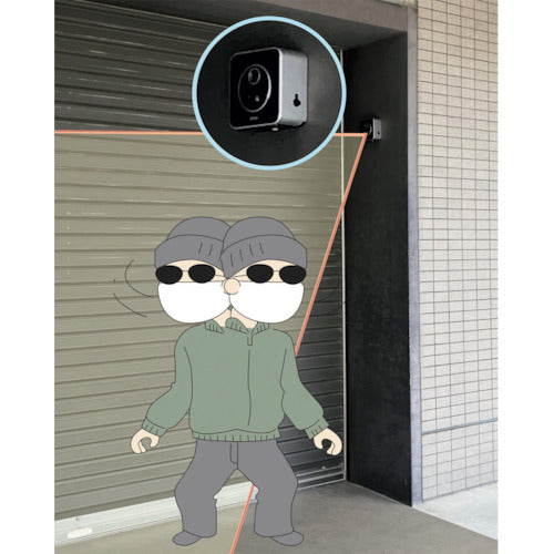 リーベックス　液晶画面付センサーカメラ　ＳＤ３０００　SD3000　1 個