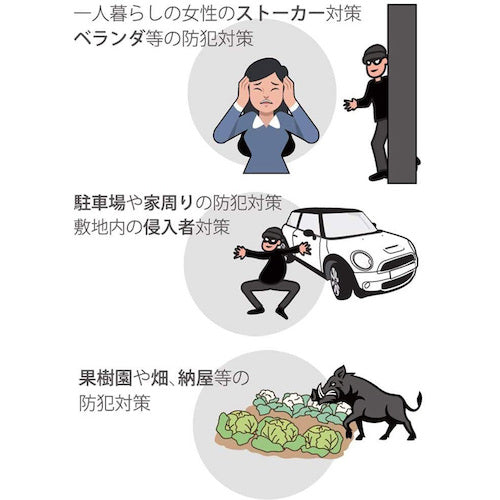 リーベックス　液晶画面付センサーカメラ　ＳＤ３０００　SD3000　1 個