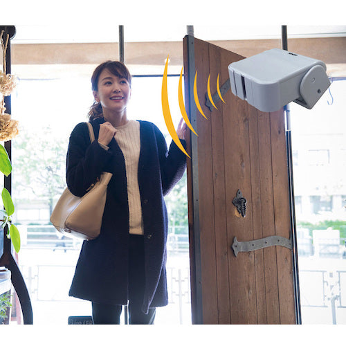 リーベックス　受信撮影カメラセット　ＸＰ１０５０ＡＧ　XP1050AG　1 個