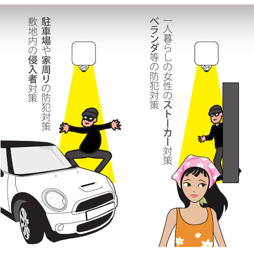 Libex Sensor Light Camera SD500 SD500 1 piece