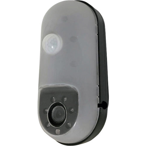 Libex SD card recording sensor camera SD1000 SD1000 1 unit