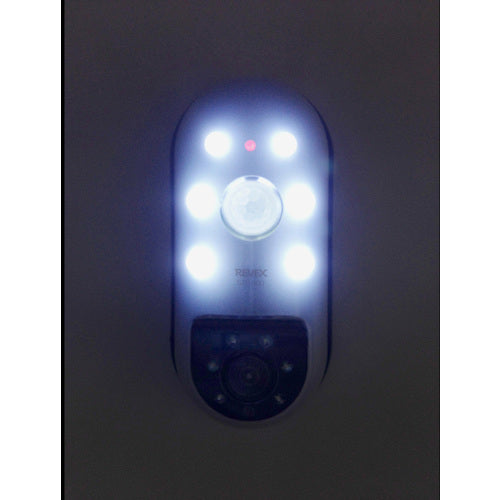 Libex SD card recording sensor camera SD1000 SD1000 1 unit