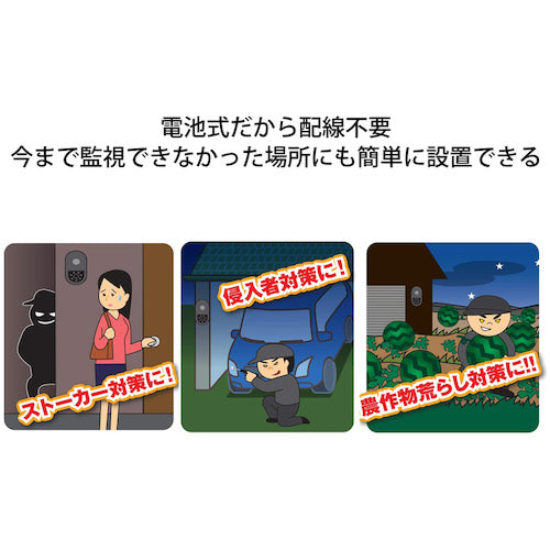 Libex SD card recording sensor camera SD1000 SD1000 1 unit