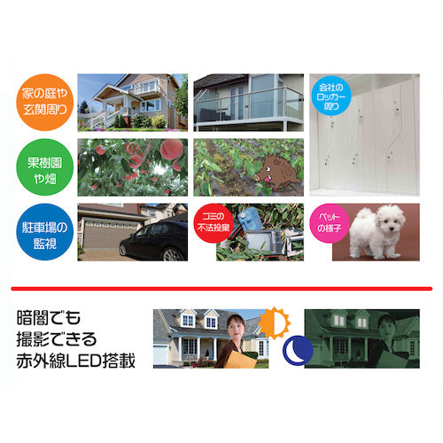 Libex SD card recording sensor camera SD1000 SD1000 1 unit