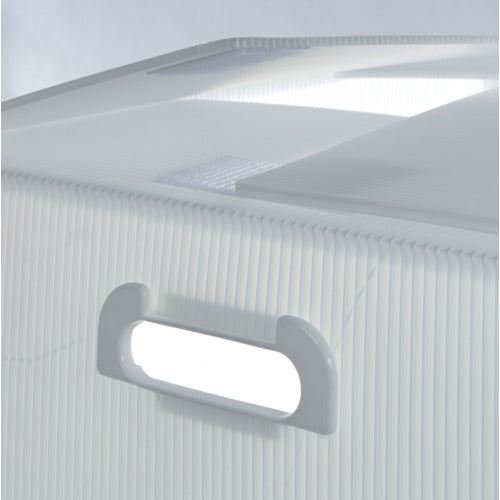 ＴＲＵＳＣＯ　ダンボールプラスチックケースマジックテープ付　５枚セット　Ｂ３サイズ　取っ手穴あき　半透明　TDPM-B3-5TM　1 Ｓ