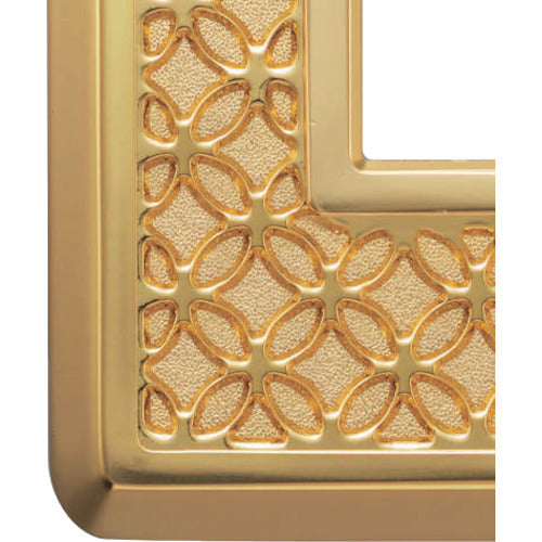 SUGATSUNE (210033139) PXP-UM01-Q1-GC Switch plate/Outlet plate PXP-UM01-Q1-GC 1 set