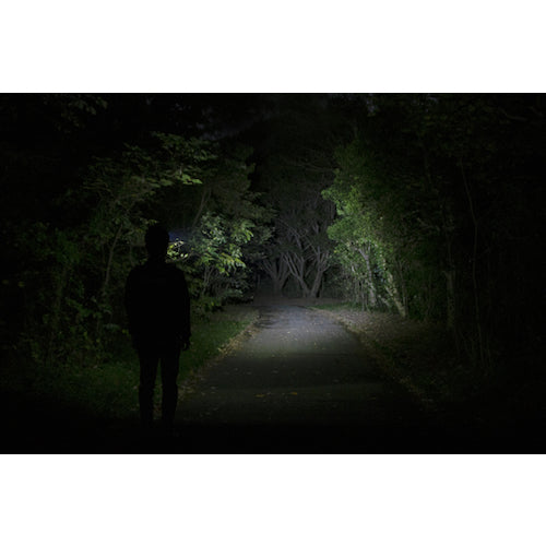 GENTOS LED Headlight Double Star 443HD WS-443HD 1 unit