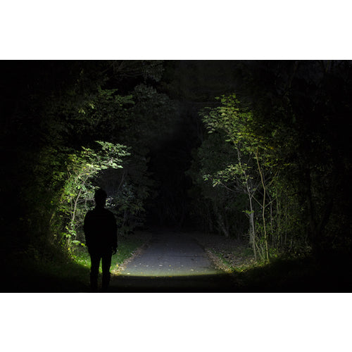 GENTOS LED Headlight Double Star 443HD WS-443HD 1 unit