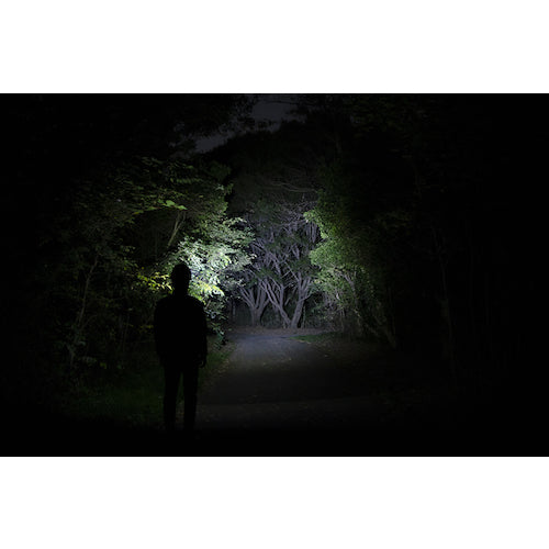 GENTOS Hybrid Headlight with Sub Warm LED Double Star 300H WS-300H 1 unit