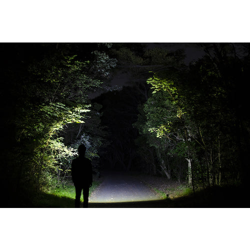 GENTOS Hybrid Headlight with Sub Warm LED Double Star 300H WS-300H 1 unit