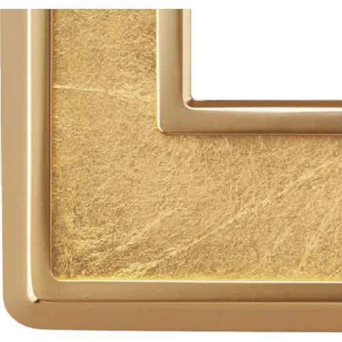 SUGATSUNE (210033146) PXP-HK01-GL 스위치 플레이트 콘센트 플레이트 PXP-HK01-GL 1 식