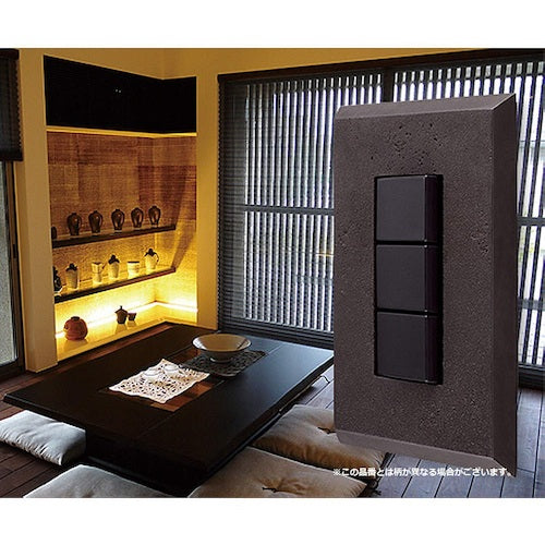 SUGATSUNE (210027180) PXP-AC01-BL 스위치 플레이트 콘센트 플레이트 PXP-AC01-BL 1 식