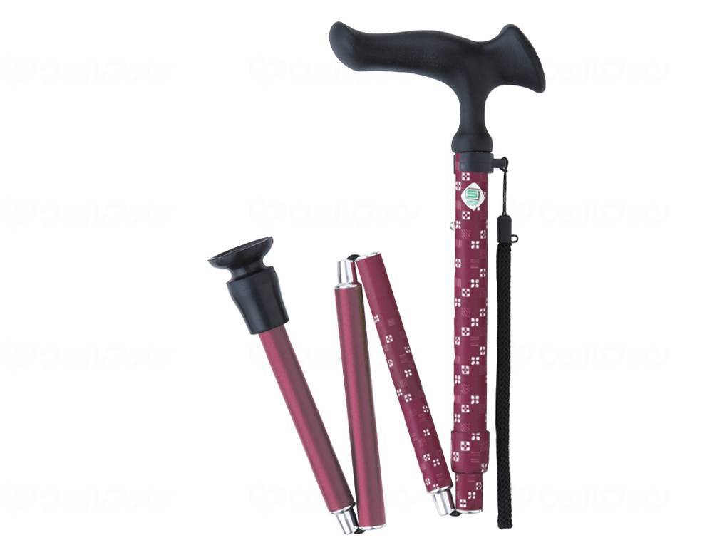 Fuji Home Karugamo E Folding S Ichimatsu Akane