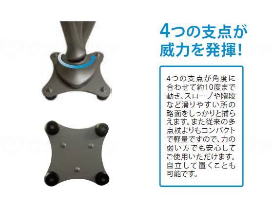 フジホームかるがも4ﾎﾟｲﾝﾄｽﾃｯｷ ｽﾃﾝｶﾗｰ