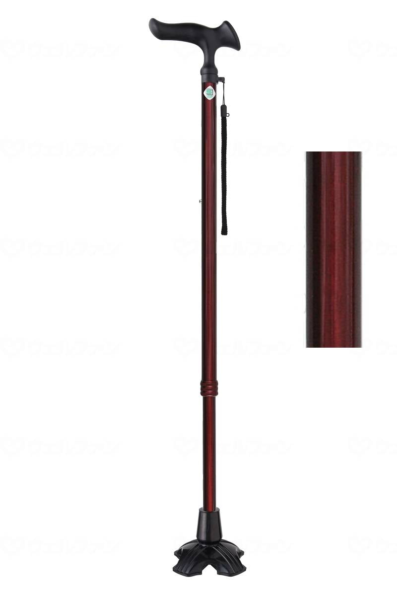 Fuji Home Karugamo Omu 4-piece DX Woodgrain Medium