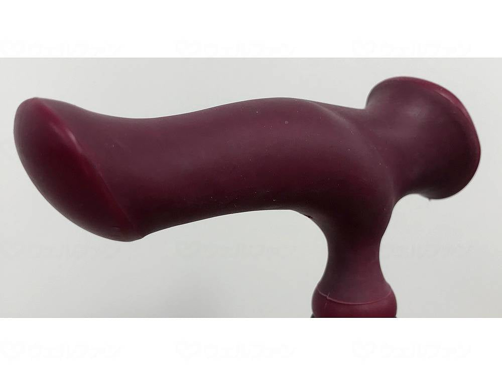 후지 홈 카루가모 폼 4 포인트 DX 리프 윈