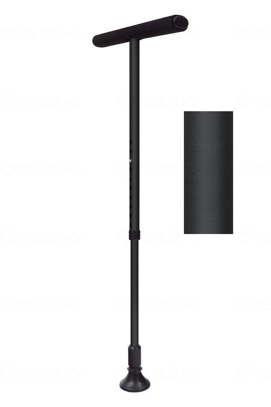 후지 홈 리버스 테키