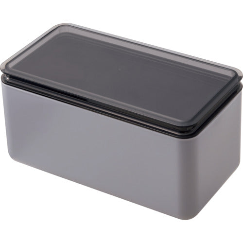 Iseto Mask Storage Case Gray I-593-G 1 pc
