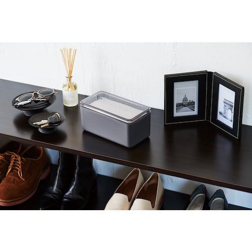 Iseto Mask Storage Case Gray I-593-G 1 pc