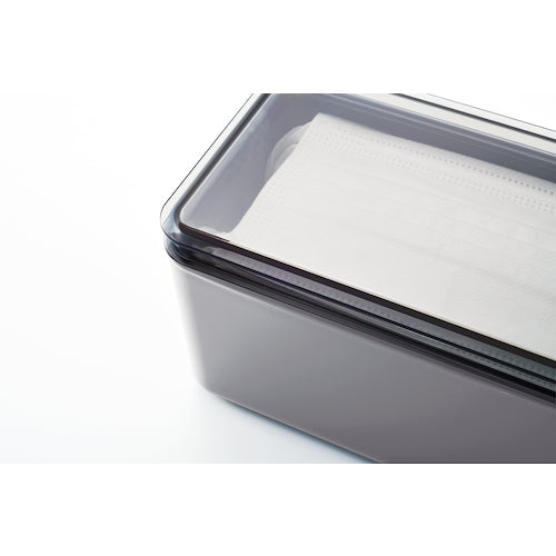 Iseto Mask Storage Case Gray I-593-G 1 pc