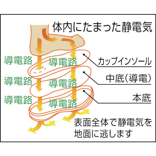 미도리 안전 정전 세프티 스니커 G3595S 25.0CM G3595S-W-25.0 1 발