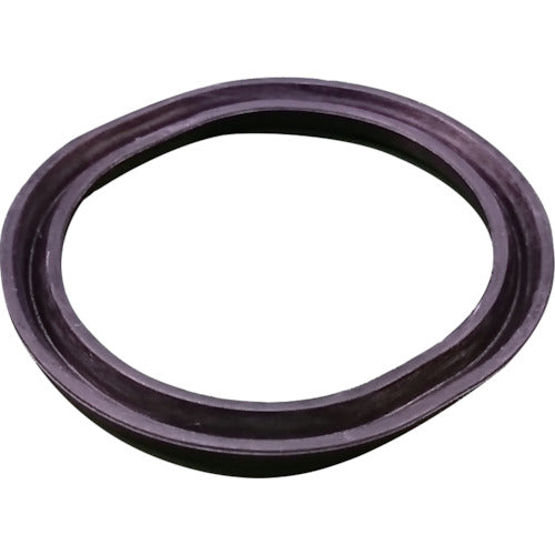 Einz Piston Gasket NW-50.50R (LX0153-110) 1 piece