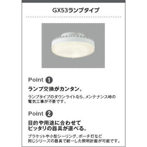 コイズミ　住宅・店舗用照明　非調光　昼白色　屋内用ＧＸランプ型ＬＥＤ付き　ＳＢダウンライト　１００Ｗ相当　AD1161W50　1 台