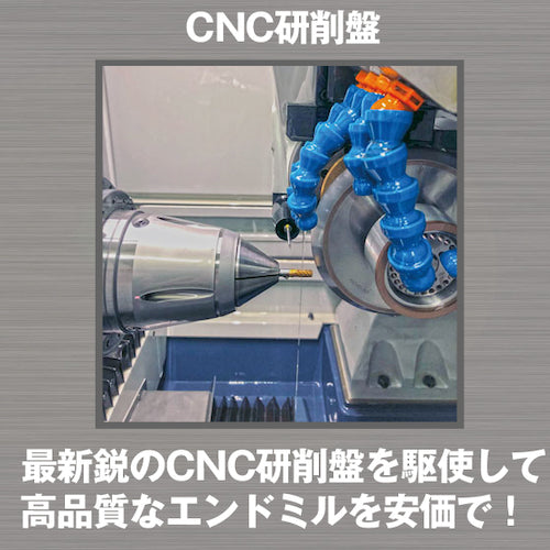TRUSCCO 엔드밀 초경 롱 넥 스퀘어 엔드밀 2매 칼날 Φ0.1X1 AC40-TLNE2001-1
