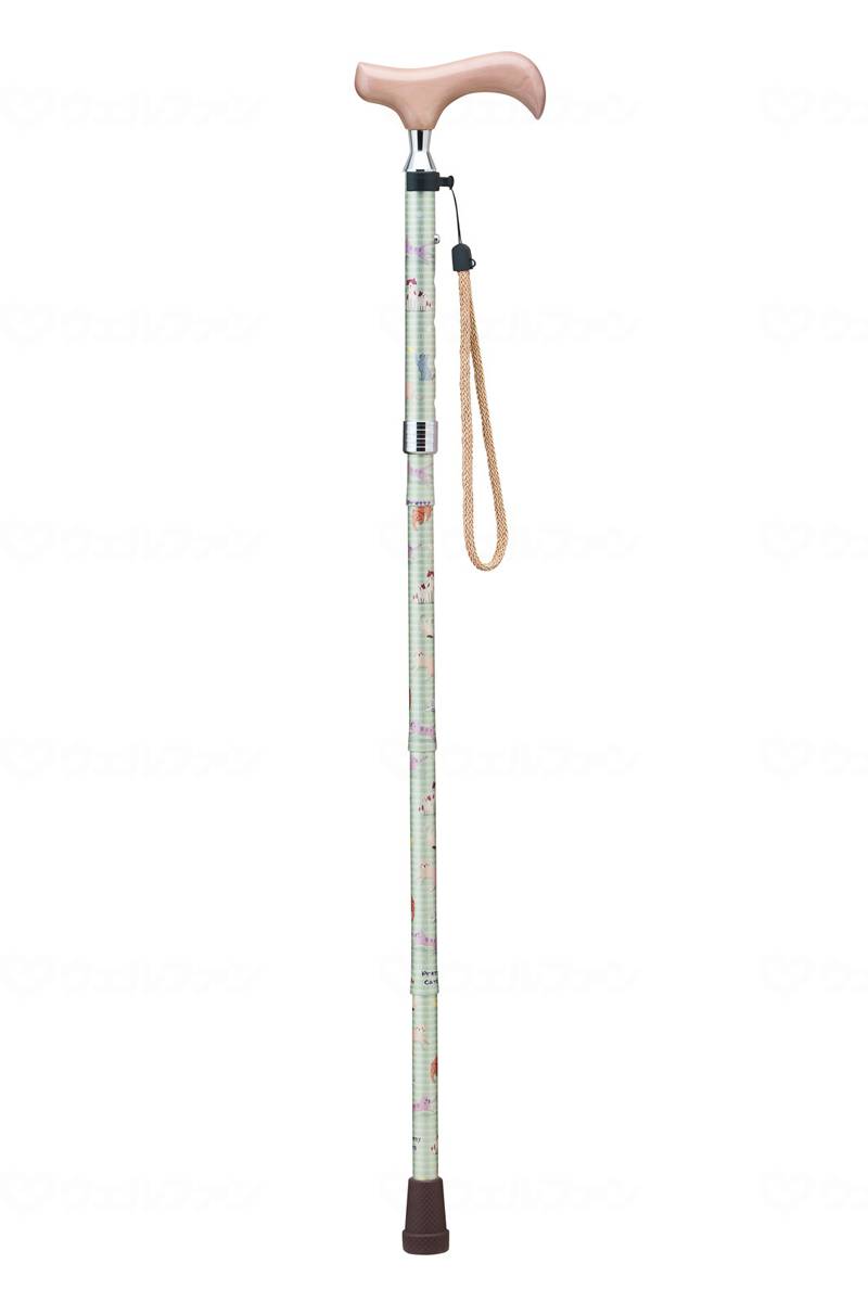 케이 호스피아 아이스 푸리타키키키시리즈 라이트 그린