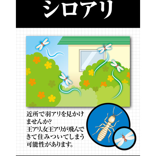 Fumakilla Insecticide Spray Termite Jet Pro 450ml 431667 1 bottle