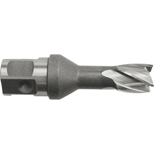 Ikura Light Borer Replacement Blade (High Speed ​​Steel Blade) (51128) HCSQ115L 1 piece